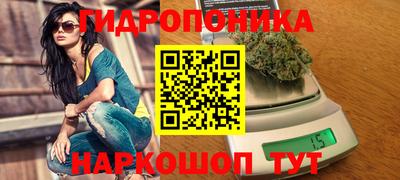 скорость Будённовск
