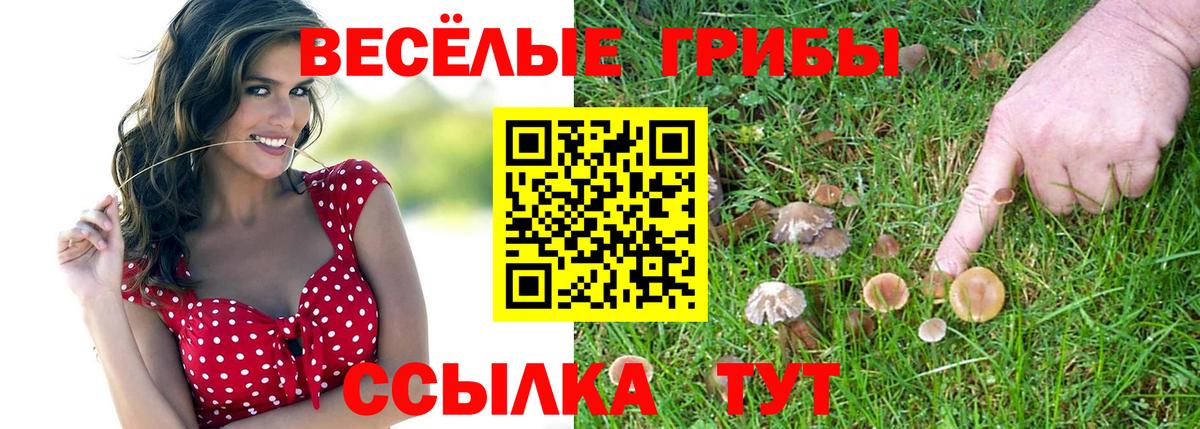 Лабинск  Галлюциногенные грибы Cubensis  Галлюциногенные грибы Psilocybine cubensis  Вход с VPN 